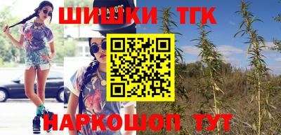 apvp Камышлов
