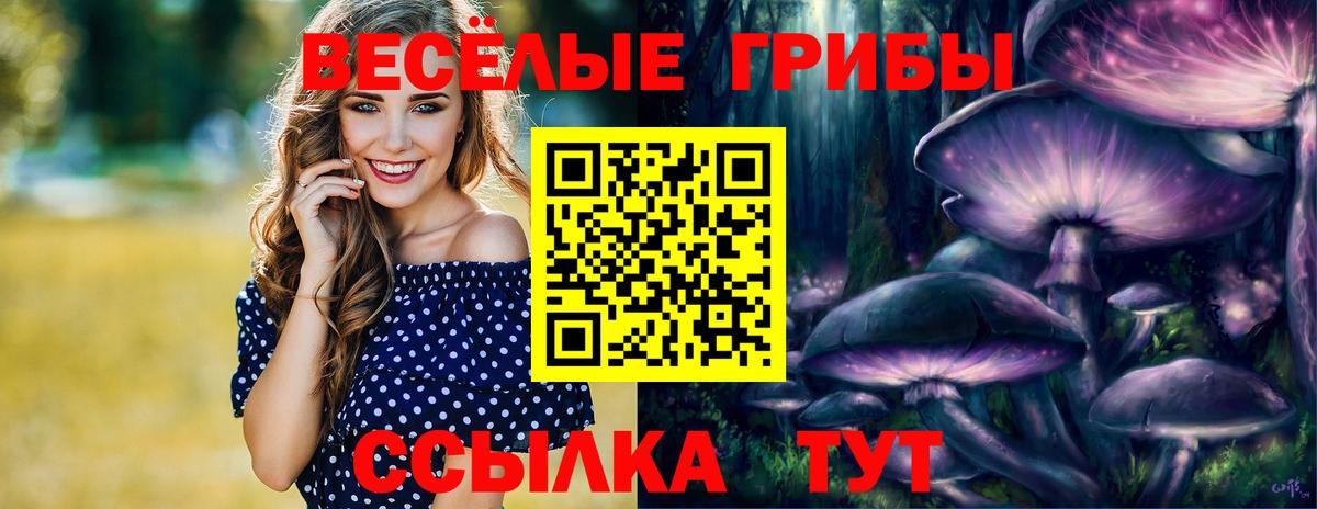 Псилоцибиновые грибы Magic Shrooms  Псилоцибиновые грибы Magic Shrooms  Крымск  Вход с VPN 